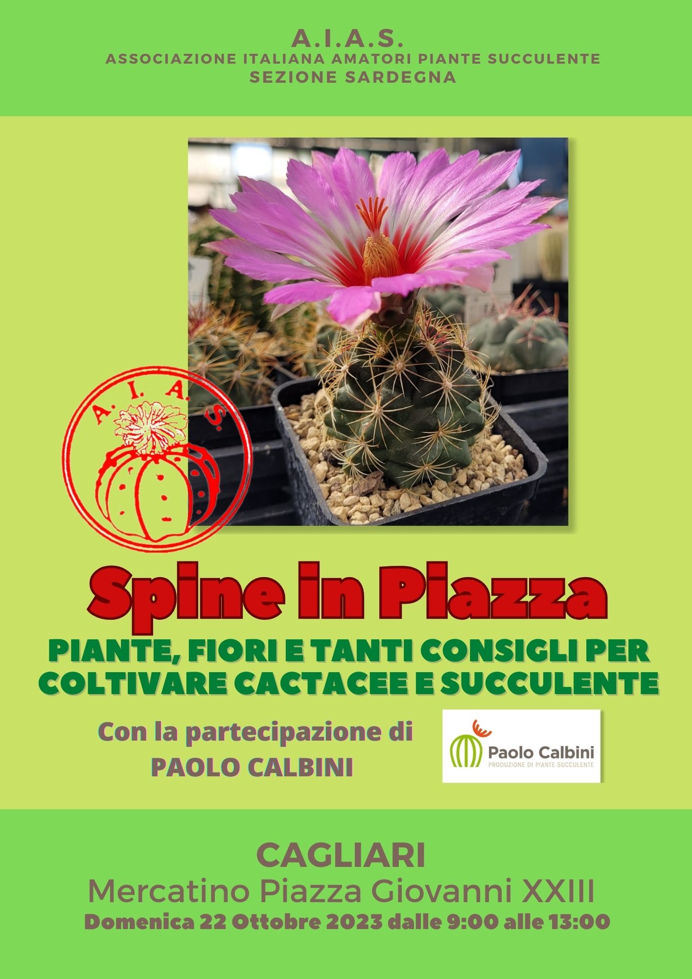 SpineInpiazza