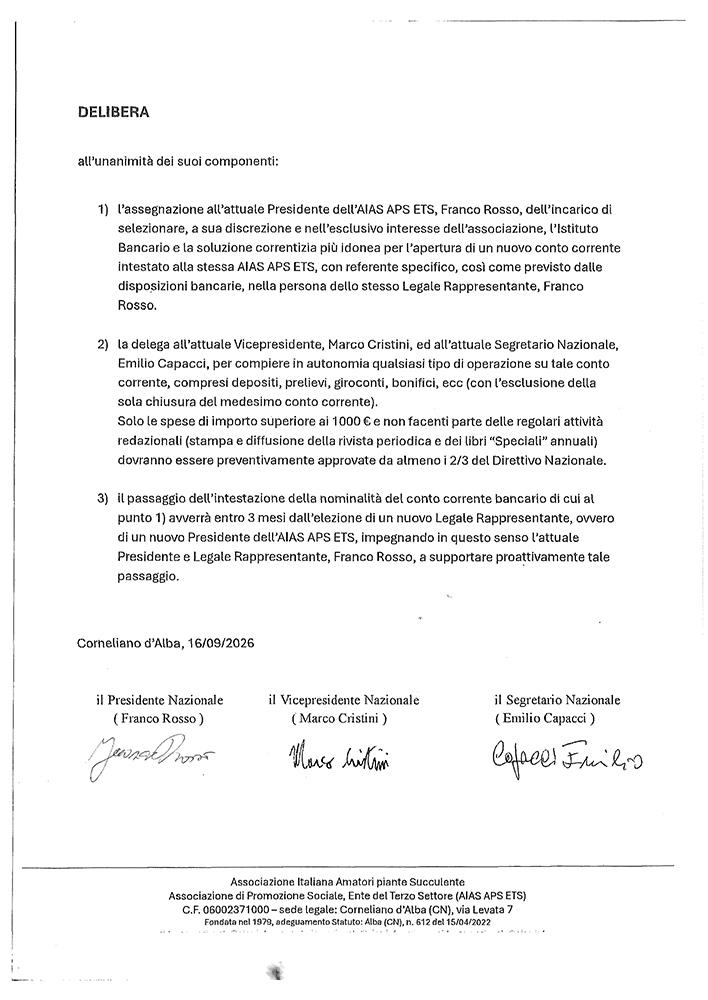 verbale AIAS incarico e deleghe conto corrente bancario 1 2