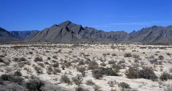 HABITAT COAHUILA